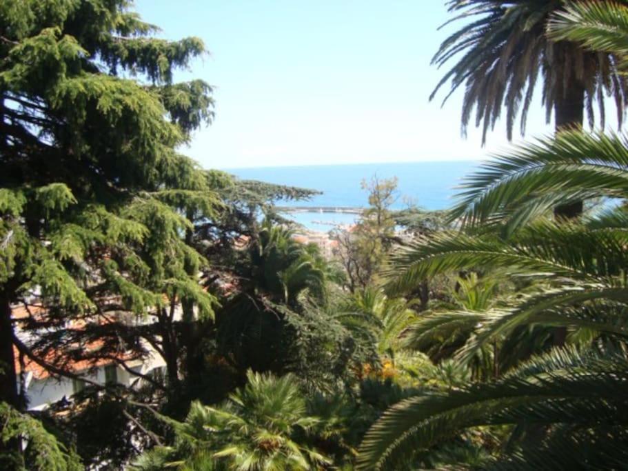 Mini Accommodation In Sanremo Liguria ภายนอก รูปภาพ